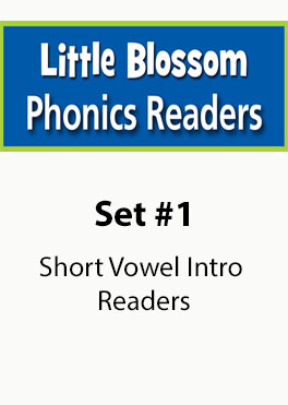 LEVEL B - Phonics, Sight Words, Short Vowel, Decodable Storybooks