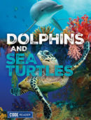 Dolphins & Sea Turtles (Code Reader)