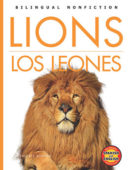 Lions / Los leones (Bilingual High-Low Nonfiction)