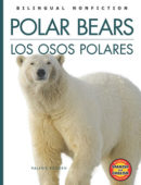 Polar Bears / Los osos polares (Bilingual High-Low Nonfiction)